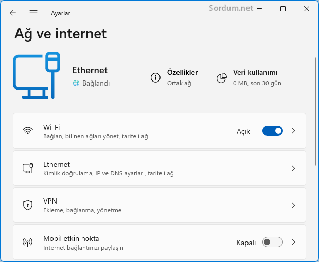 Ağ ve internet sayfası