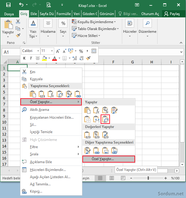 excelde tabloyu özel yapıştır