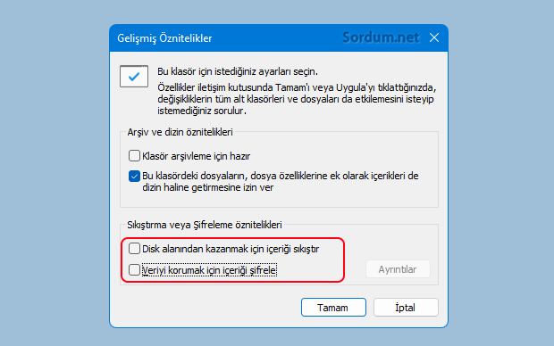 Gelişmiş özellikler penceresi