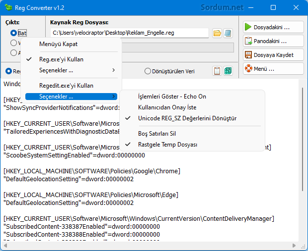 Reg Converter çıktı türünü seçelim
