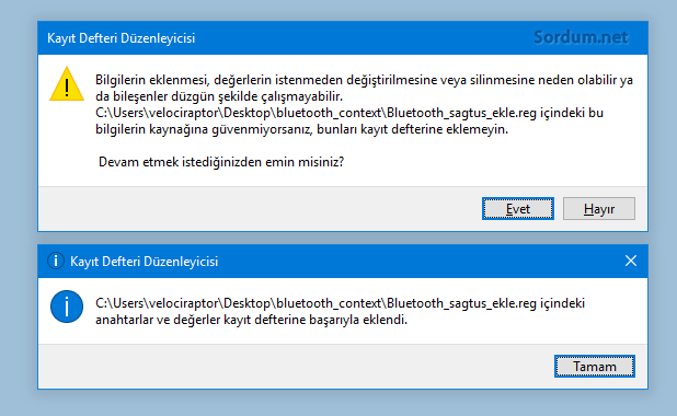 Registry kaydı başarı ile eklendi