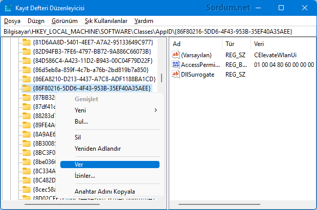 Registry Anahtarını ver