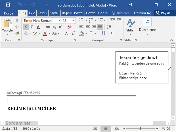 Word kaldığınız yerden devam edin özelliği