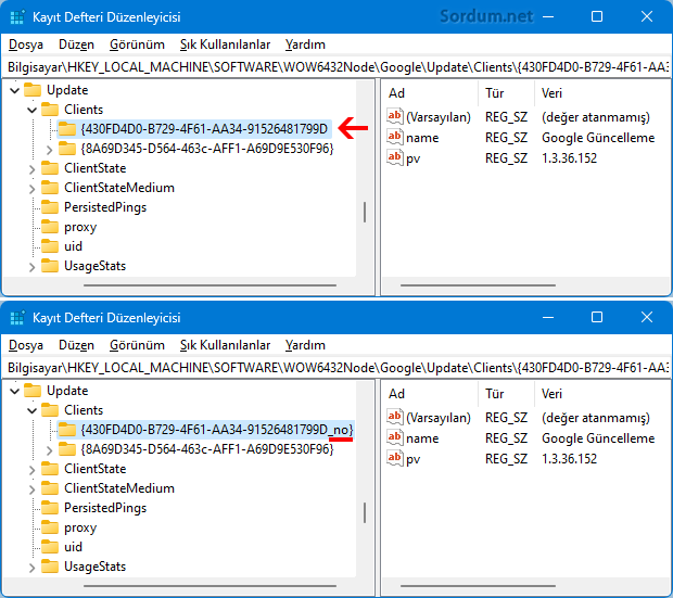 Chrome Update registry kaydı