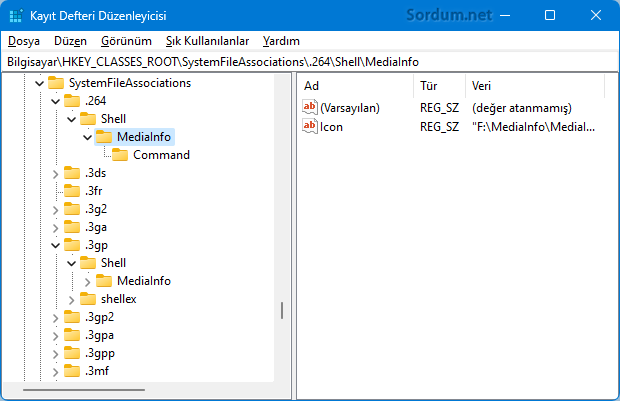Sağ tuştaki mediaInfo registry kaydı