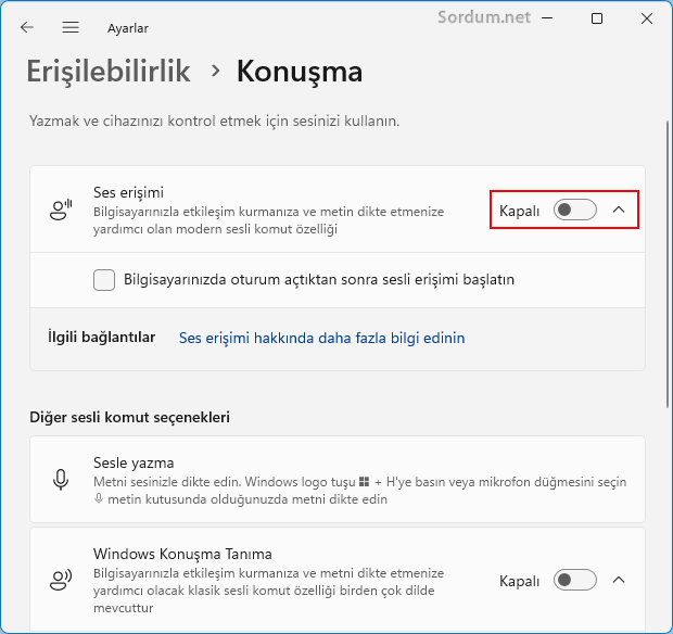 Erişilebilirlik , konuşma