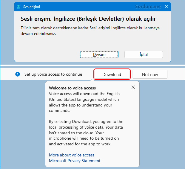 Ses erişimi ingilizce