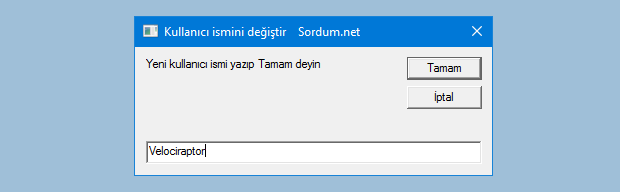 vbs ile üye ismi değiştir
