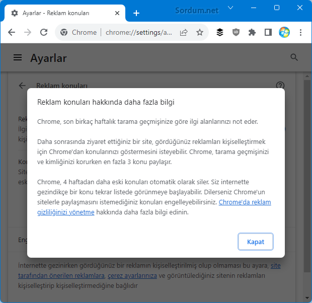 Google chrome reklam konuları