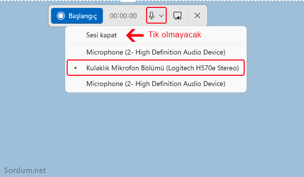 Ekran alıntısı aracı ile sesli kayıt