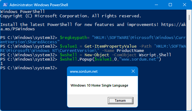 Powershell ile registry okutup ekran yazdır