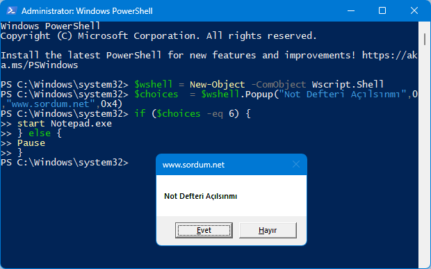 Powershell ile kullanıcıya soru sorup işlem yaptır