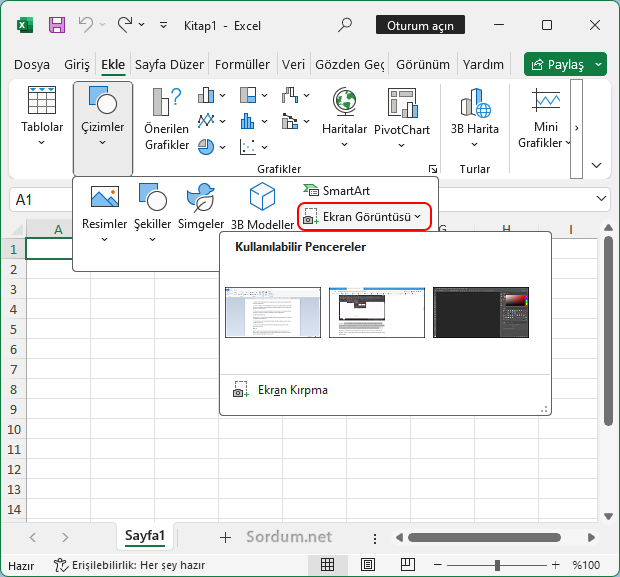 Excel ile ekran görüntüsü al
