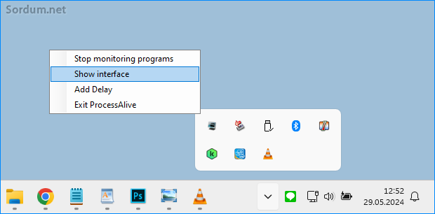 Processalive ayarları