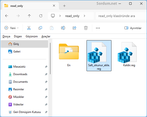Sağ tuşa salt okunurluğu ekleyen registry kaydı Sağ tuşa salt okunurluğu ekleyen registry kaydı