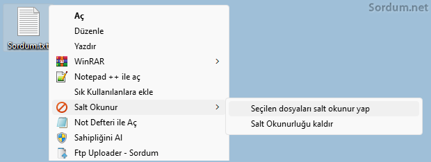 Sağ tuşta salt okunurluk özelliği Sağ tuşta salt okunurluk özelliği