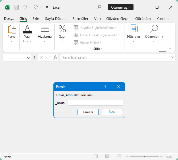 Excel kitabını görüntülemek için şifre gir