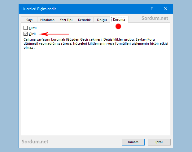 Excel koruma sekmesi gizli kısmına tik koy