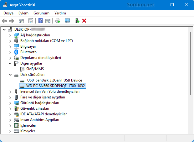 SSD marka ve modelini bulun