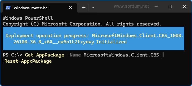 Powershell ile arama geçmişini temizle