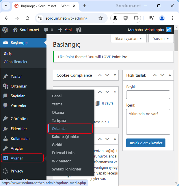 Wordpress ortamlar