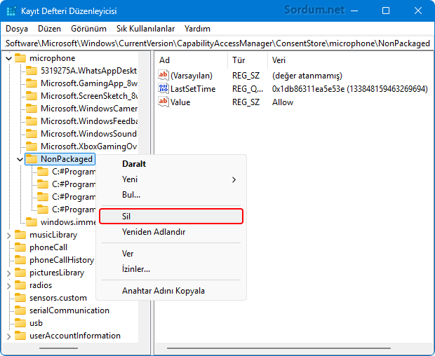Registryden Mikrofona erişen uygulamaların listesini sil