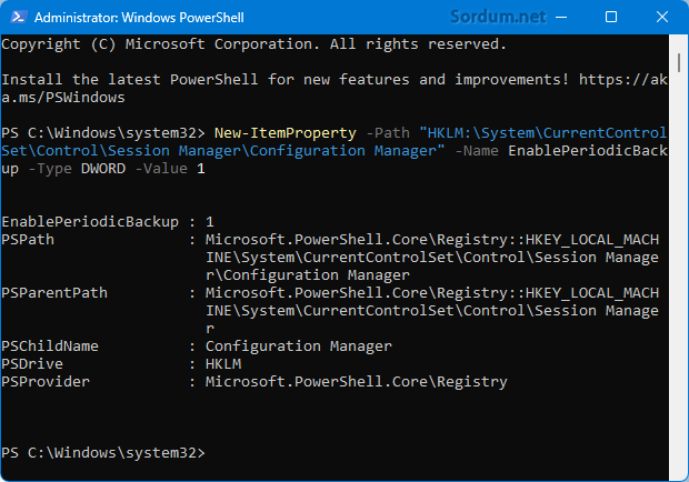 Powershell komutu ile Registry değeri yazdır