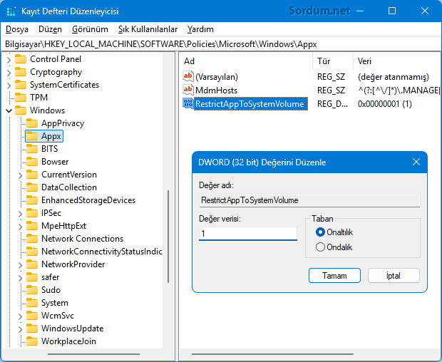RestrictAppToSystemVolume RestrictAppToSystemVolume