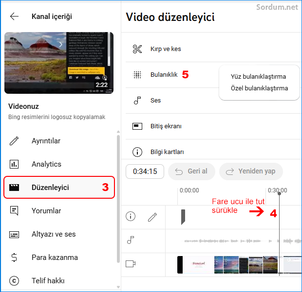 Video düzenleyici