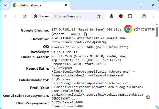 Google chrome version bilgisi
