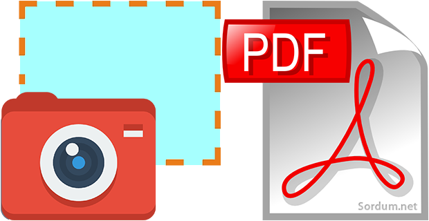 Pdf dosyasında tam sayfa ekran görüntüsü alın