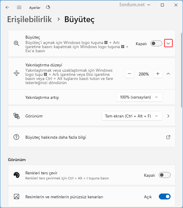 Büyüteç alt ayarları Büyüteç alt ayarları