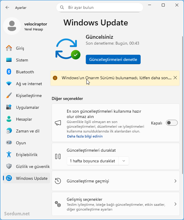 Onarım sürümü bulunamadı
