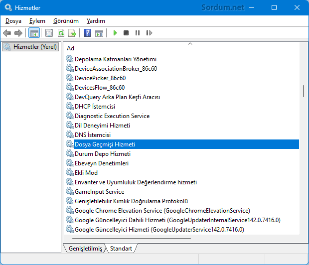Dosya geçmişi servisi (Hizmeti)