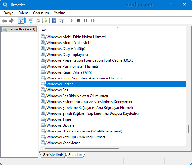 windows arama (search) hizmeti